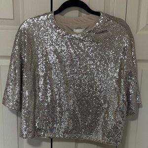 H&M Silver Sequin Crop Top